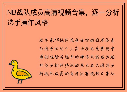 NB战队成员高清视频合集，逐一分析选手操作风格