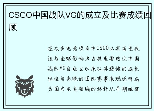 CSGO中国战队VG的成立及比赛成绩回顾